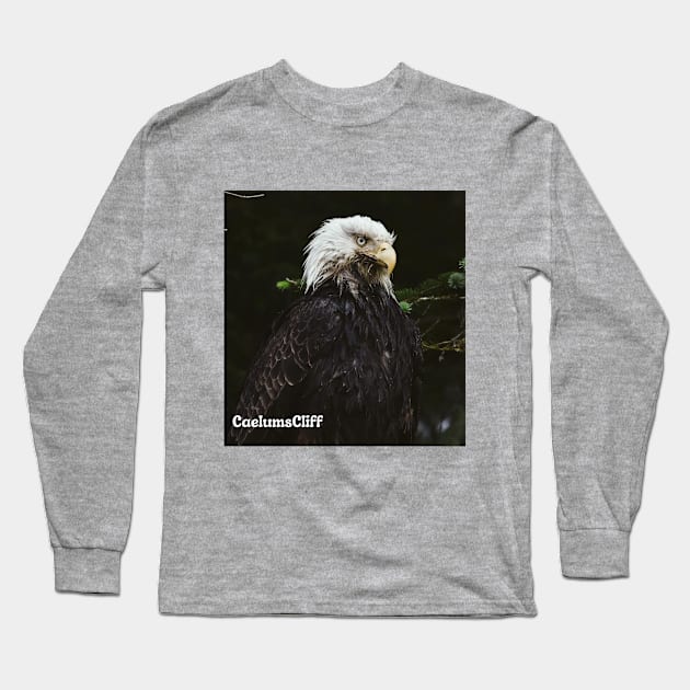 Eagle Long Sleeve T-Shirt by Oregon Art Shop